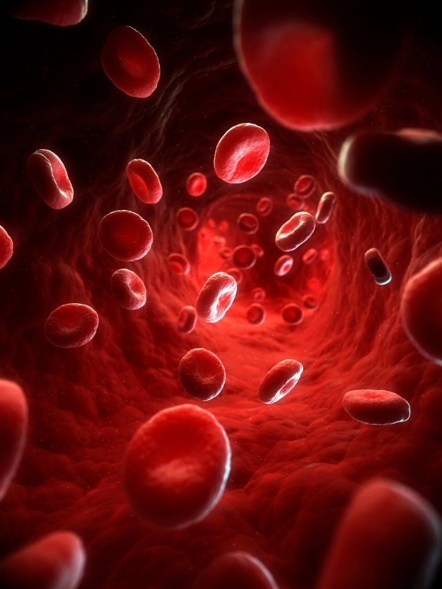 These things help in purifying the blood