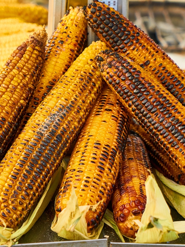 benefits of eating corn in the rainy season