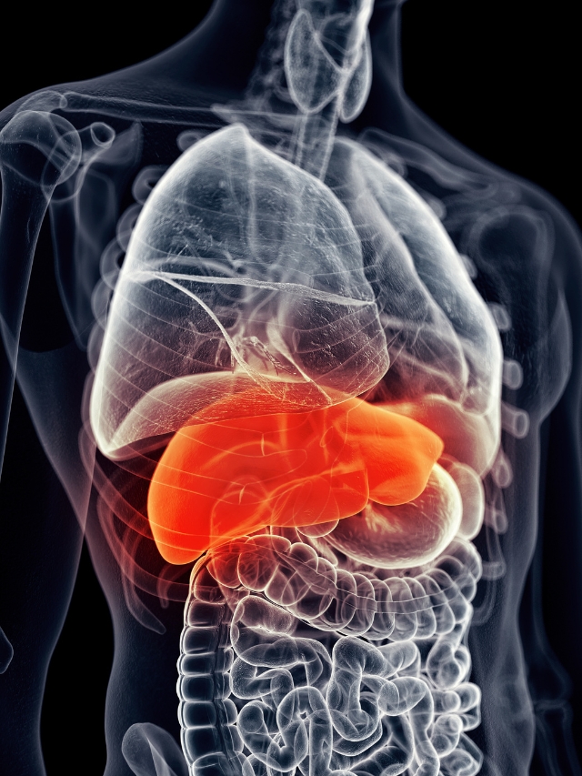 Eat these things to keep the liver fit