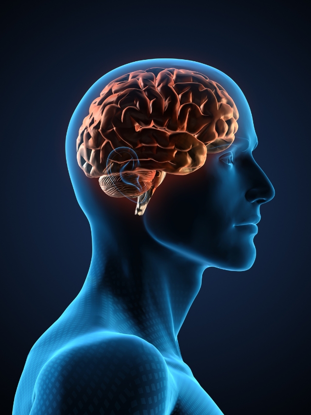 Eat these things to make your brain sharp