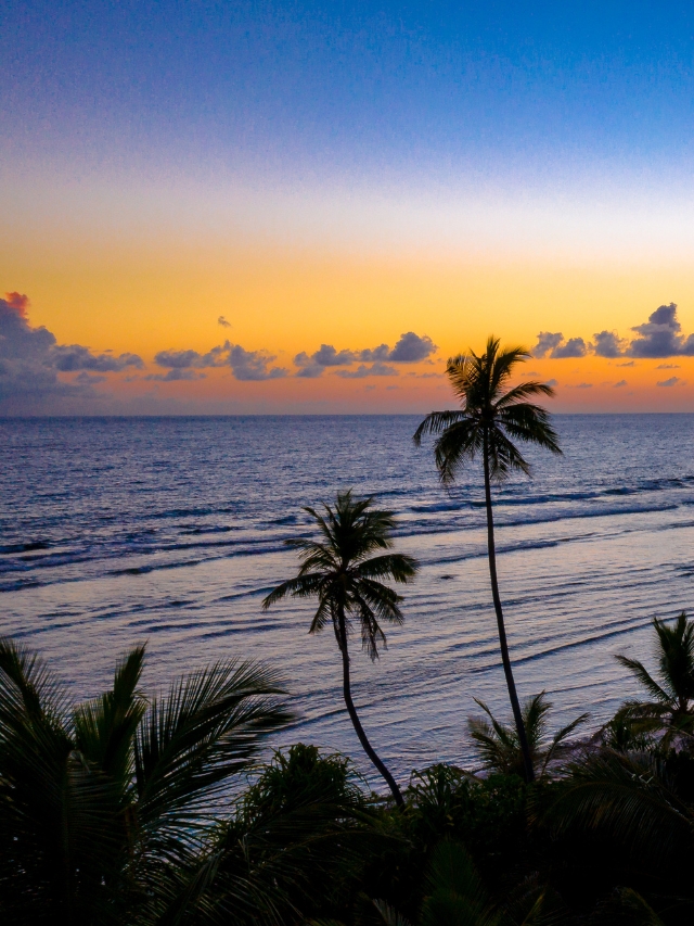 5 best places to visit in India during monsoon